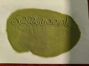 アルギン酸有機肥料,海藻エキス,高品質グリーンパウダー海藻,昆布エキス - Product Image 6