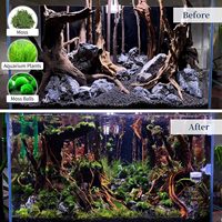 Bois de bogue polonais artificiel pour aquascape, design araignée, petit bois flottant pour aquarium, bois de bogue de rivière