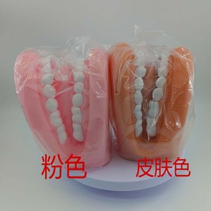 แบบจำลองฟันสีชมพูและสีผิว สำหรับการสอนและการฝึกอบรม - Product Image 1