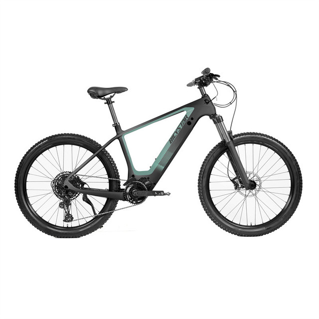 Hot Sale El Fat Bike Electric Bicycle Vintage/elec Mountain Electgric Bike Bicycles Electric Cycle Motorcycles Electra Bike