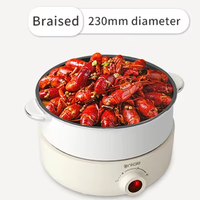 Nouvelle conception moderne 2025, casserole électrique 3L, poêle à frire électrique, poêles électriques individuelles, casserole électrique pour dortoir, maison.