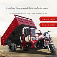 Triciclo de Carga con Motor de Gasolina de 3/5 Ruedas, Marca XF, Durable, con 1 Año de Garantía, para Transporte de Maquinaria Agrícola