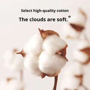 Guanti Anti-Graffio per Neonati 0-12 Mesi, Stile Sottile Primavera-Autunno, Puro Cotone, Guanti Protettivi per il Viso, Vendita all'Ingrosso/OEM - Product Image 3