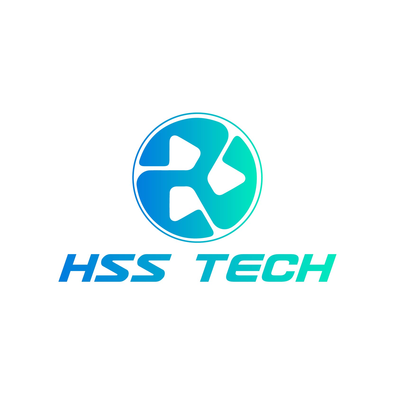 Hunan Haishengshi Industry And Trade Co., Ltd. logo