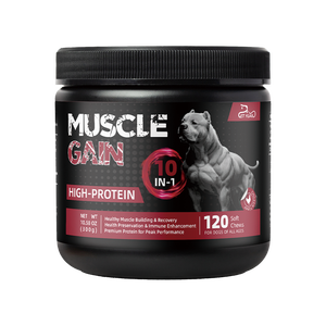 Ingrédients naturels sans grains à haute teneur en protéines Gain de muscle pour chien Doux Mâche Soutien immunitaire Supplément pour animaux de compagnie - Product Image 1