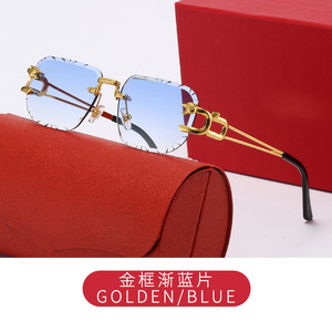 Gafas de Sol Retro de Diseñador, de Alta Calidad, con Doble Puente, Montura Metálica con Cabeza de Leopardo, Marca de Lujo - Product Image 5