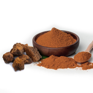 Amostra Grátis de Extrato de Cogumelo <span class=keywords><strong>Chaga</strong></span>, Pó de Extrato de Cogumelo <span class=keywords><strong>Inonotus</strong></span> <span class=keywords><strong>Obliquus</strong></span> - Product Image 1