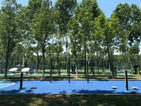 Fournisseur d'usine Équipement de fitness extérieur durable Équipement de sport de parc en acier plastique