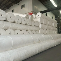 Géotextiles en polypropylène et polyester aiguilletés de haute qualité à prix d'usine