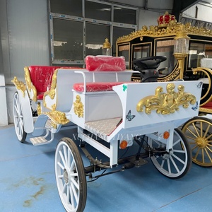 Carruaje de Caballos Turístico con Color Personalizado, Carruaje de Caballos Antiguo <span class=keywords><strong>para</strong></span> Exploración en Grandes Parques - Product Image 1