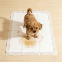 Pads d'apprentissage pour chiots et chiens, absorption rapide, anti-odeurs, parfum citron vert frais, pour usage intérieur