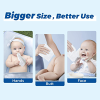 Tisu Basah Bayi Water Wipes Original Biodegradable, Penyeimbang PH, 100% Alami Organik, dan Ramah Lingkungan