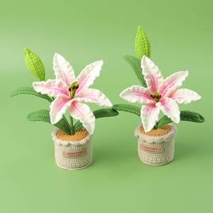 Maceta Decorativa Hecha a Mano con Flores de Zephyranthes Candida Tejidas a Crochet para Regalo de Halloween, Navidad o San Valentín - Product Image 2