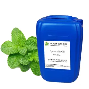 Hot Sales Steam Distillation Extracted Essential Oil Pure Natural Spearmint Oil For Toothpaste Cosmetic In Bulk