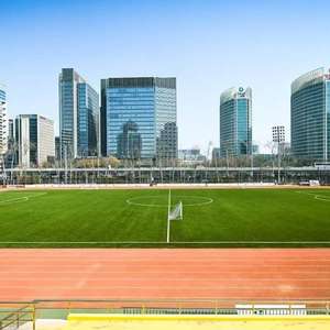 Lingwo 50mm Sports Football Herbe Lingwo Tewtw-Mao <span class=keywords><strong>Evergreen</strong></span> <span class=keywords><strong>Gazon</strong></span> Artificiel Herbe Synthétique Personnalisé pour Le Football - Product Image 3