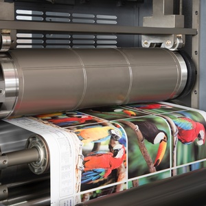 Weigang Zp680/520 Cho Máy In Flexo <span class=keywords><strong>Offset</strong></span> Quay - Product Image 2