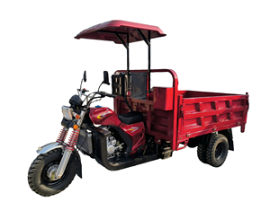 Nouvelle Arrivée 2026 Tricycle Moto 300CC à Essence 5 Roues Auto-chargeur pour Passagers et Marchandises, Charge Lourde, Haute Vitesse - Product Image 1
