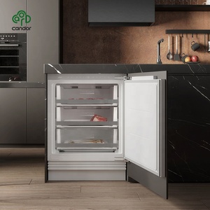 For Candor Supply 106L/135L Single-Temperature Counter <b>Refrigerator</b> Freezer Stylish Small for Whole House Decoration Small Refri - Product Image 2