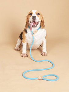 तैयार स्टॉक पर्ची का नेतृत्व नहीं सभी आकार के कुत्तों के लिए पॉलिएस्टर रस्सी थोक पालतू जानवरों की आपूर्ति - Product Image 5