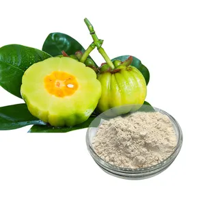 غاركينيا مستخلص مسحوق Cambogia حمض Hydroxycitric HCA 60% قيود الشهية كامبوغيا الفاكهة مسحوق