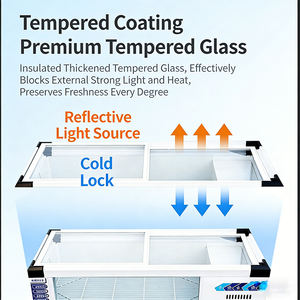 Congélateur à double porte avec thermostat mécanique réglable et porte coulissante entièrement vitrée pour supermarchés, restaurants et vendeurs ambulants - Product Image 4