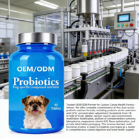 Comprimés à croquer probiotiques pour chiens, best-seller transfrontalier, SUPPLÉMENTS VÉTÉRINAIRES, supplément de calcium pour la santé osseuse en flacon