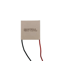 Module de refroidissement semi-conducteur basse consommation Peltier 30x30mm 12V Module de refroidissement TES112701 TES112702