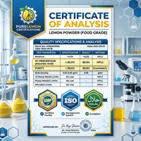 Poudre de citron naturelle FVP-11, poudre de jus de citron soluble dans l'eau, qualité alimentaire, séchée par pulvérisation, sauvage