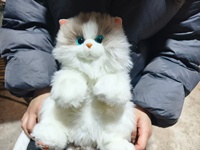 Jouet de chat animatronique grandeur nature pour enfants