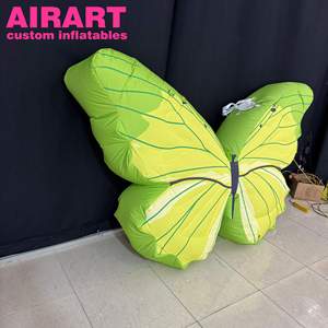 Beau <span class=keywords><strong>papillon</strong></span>, <span class=keywords><strong>papillon</strong></span> gonflable, <span class=keywords><strong>papillon</strong></span> gonflable vert pour décorer les gonflables <span class=keywords><strong>papillon</strong></span> gonflables - Product Image 5