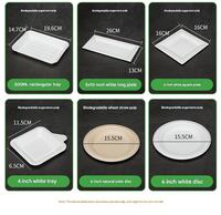 Assiettes de dîner modernes jetables écologiques personnalisées pour la rentrée scolaire, en papier compostable, motif irrégulier, modèle Ancheng 50000