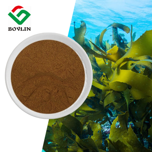 مسحوق مستخلص الأعشاب البحرية عالي الجودة من الدرجة الغذائية، مسحوق الأعشاب البحرية بنسبة 30% من السكاريد متعددة الأحماض السكرية - Product Image 3