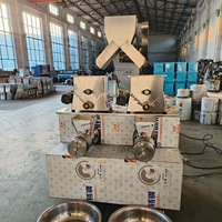 Ligne de production de pâtes italiennes, machine à fabriquer des spaghettis et des macaronis, presse à nouilles