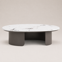 Table basse pour usage domestique, style italien moderne minimaliste, plateau en marbre Pandora, forme ovale, structure en métal, durable et facile à nettoyer