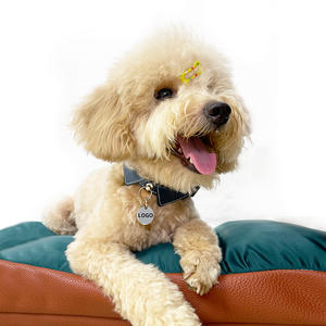 2025 di lusso in pelle riciclata per animali domestici con rivestimento impermeabile fibbia a sgancio rapido, targhe di design per cani da gatto - Product Image 4