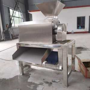 Dispositivo Horizontal de Acero Inoxidable para Triturar Vegetales, para Eliminar la Pulpa de Mangos Grandes y Procesarlos en Puré - Product Image 5