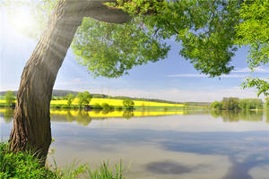 Papier peint en soie de conte de fées, château de jardin, fleurs de cerisier roses, pont doré, décoration intérieure, imperméable, autocollant, chambre d'enfant, appartement - Product Image 6