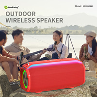 2 Mikrofonlu NR8809W RGB BT HIFI Müzik Çift Mikrofonlu Surround Karaoke Amfi Hoparlör Kablosuz KTV Açık Hava Ev Taşınabilir Kemerli