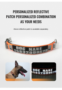 Truelove Großhandel Reflective Durable Nylon Hunde halsband Patch Luxus Haustier Zubehör Hochwertiges LED-Halsband Para Gato verstellbar - Product Image 3