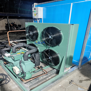 Groothandel 10 & 20 Feet Walking Koelkast Container Automatische Motor Voor Vlees & Plantaardige Koude Opslagruimte - Product Image 6