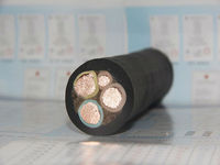 Cable de Bajo Voltaje de Uso Generalizado con Aislamiento EPR y Cubierta de PE, Diseño Especial con Conductor de Cobre Recocido, Cable de Goma H07RN-F para Elevadores