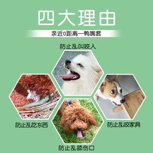 Muselière pour chien, type bec de canard, respirante, anti-aboiement, pour petits chiens, Corgi, Teddy, conception sécurisée - Product Image 3
