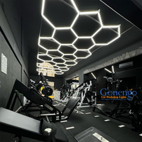 Le connecteur d'épissage de bureau de grande salle de sport de conception de bricolage a mené des lumières hexagonales en nid d'abeille