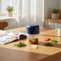 Draagbare 250ml mini elektrische knoflookhakker met roestvrijstalen messen, plastic keukenaccessoire, gadget, mixer, mini blender