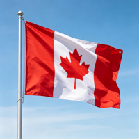 Drapeau national du Canada 3x5 pieds, drapeau en polyester imperméable résistant aux UV et à la décoloration, bannière feuille d'érable, drapeau canadien personnalisé, approvisionnement en gros