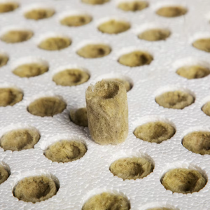 Vente chaude agricole laine de roche hydroponique graine démarrage Clone système de croissance hydroponique laine de roche Cube Clone - Product Image 3