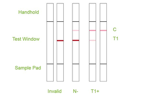 Sữa clavulanic axit nhanh chóng kiểm tra Dải thử nghiệm dư lượng của sữa thịt lợn mật ong - Product Image 6