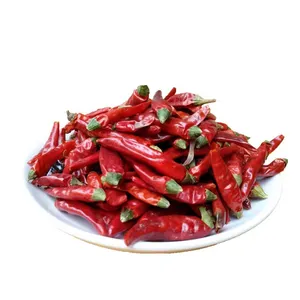 Raw Processed China Red Chilli Granules Dried Red Chili
