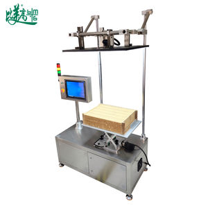 Coleta de Dados de Códigos de Barras/QR Codes em Lotes com Escaneamento de Visão Mecânica, Comparação de Dados de Banco de Dados e Detecção de Dados de Caixa Completa - Product Image 6