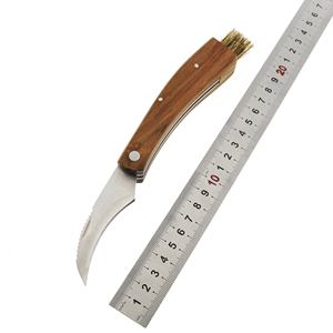 Couteau à champignons pliant en acier inoxydable de vente chaude avec brosse couteau à truffe à manche en bois pour le <span class=keywords><strong>camping</strong></span> Support OEM personnalisable - Product Image 5